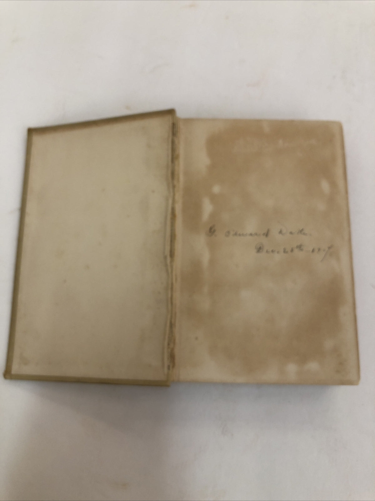 Adrift in New York - Horatio Alger Jr  Tom & Florence Braving the World HC 1907?