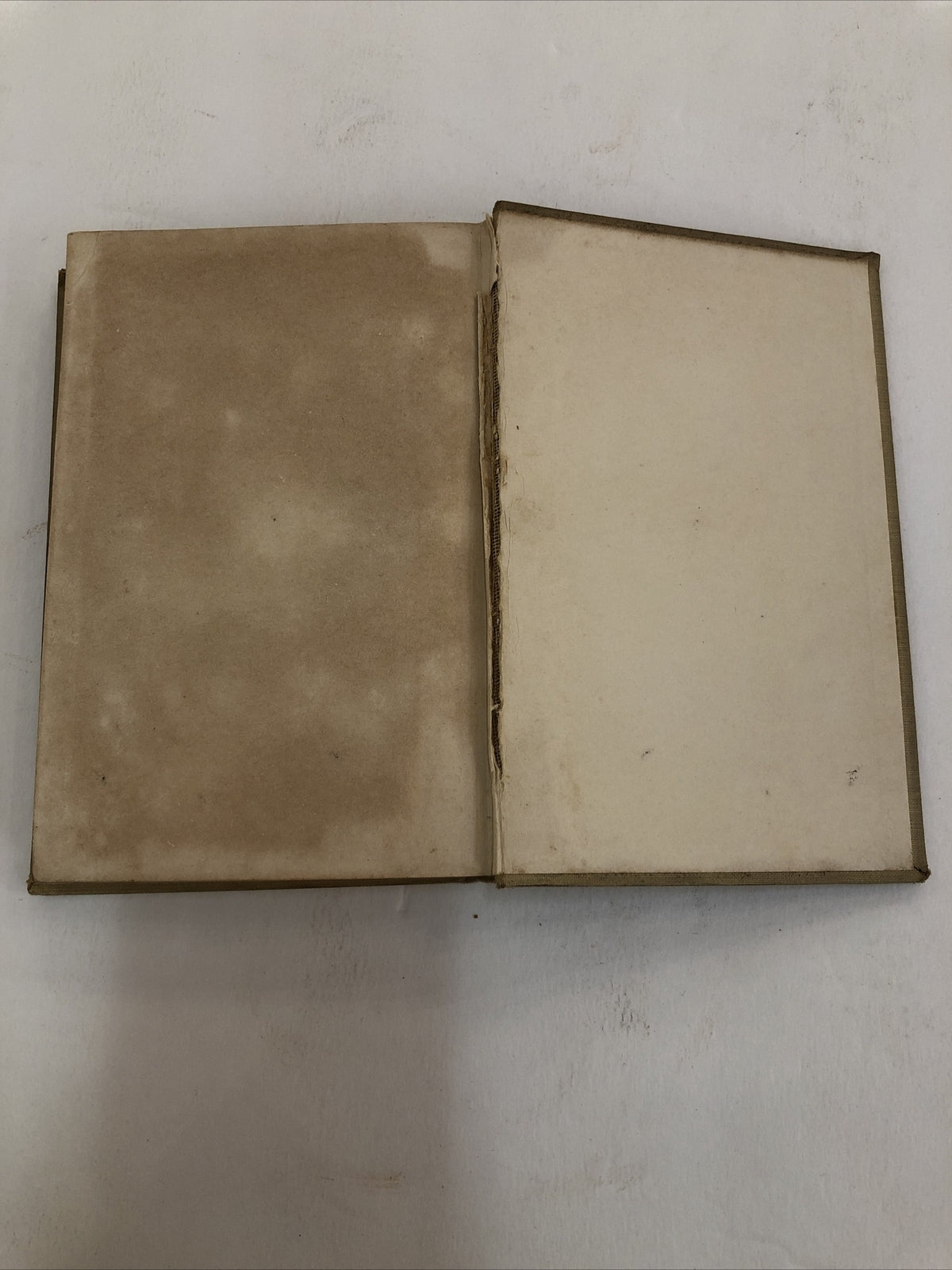 Adrift in New York - Horatio Alger Jr  Tom & Florence Braving the World HC 1907?