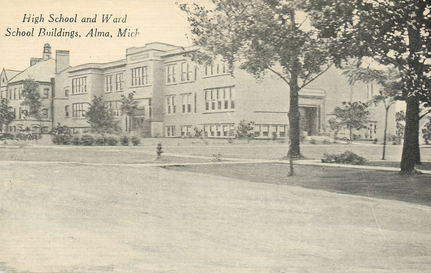 High School and Ward School Buildings Alma MI Mich Michigan Postcard
