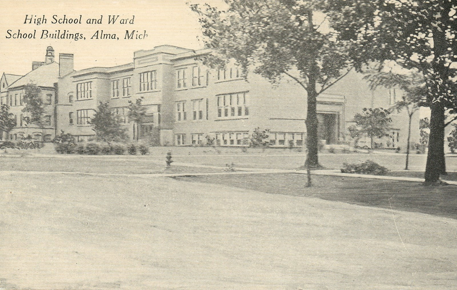 High School and Ward School Buildings Alma MI Mich Michigan Postcard