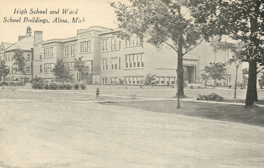 High School and Ward School Buildings Alma MI Mich Michigan Postcard