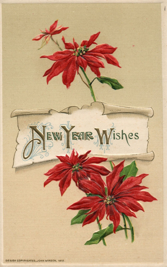 John Winsch Poinsettia and Torn Scroll Paper New Year Wishes Postcard 