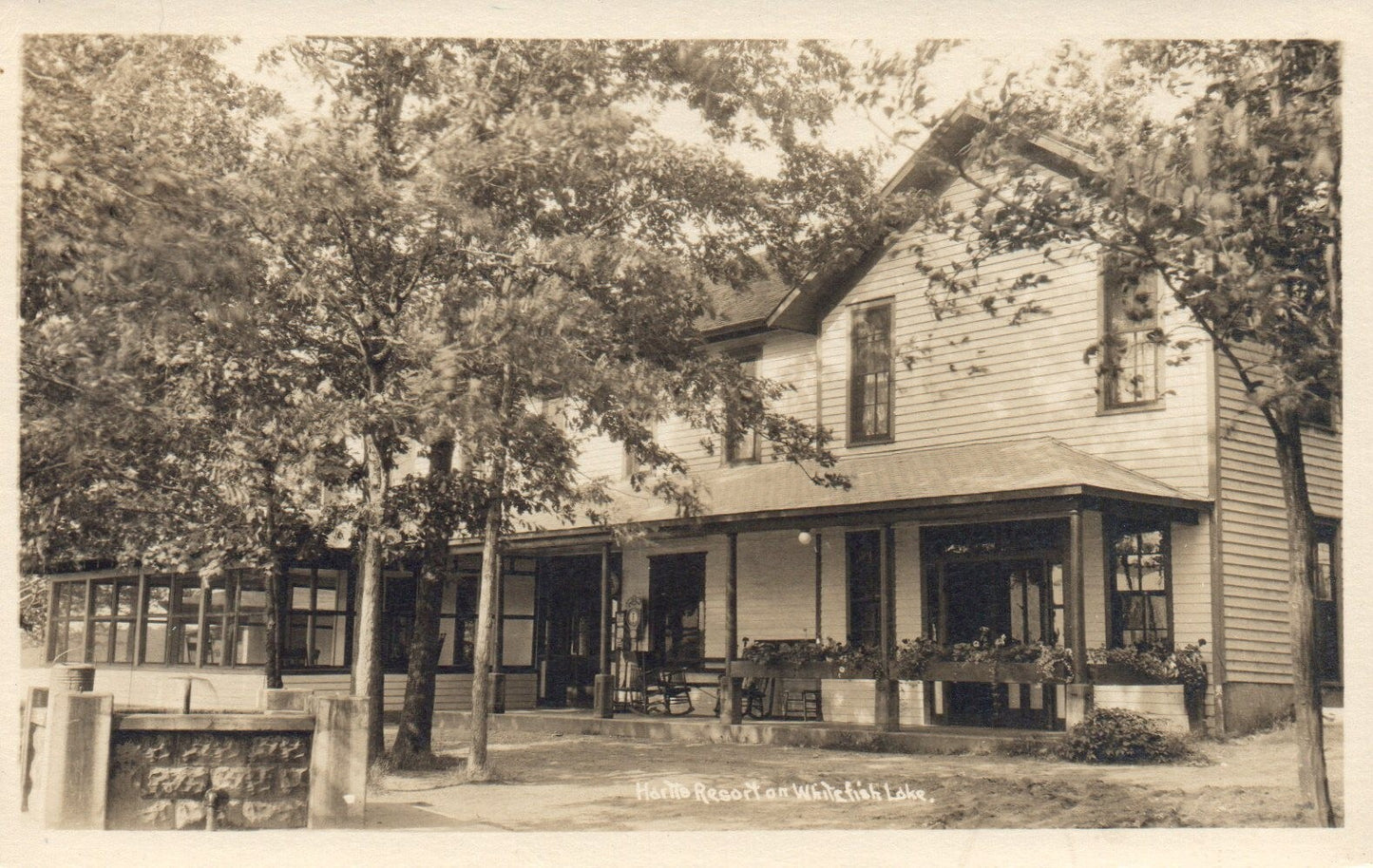 Hartie Resort on White Fish Lake MI Michigan Mich  Postcard