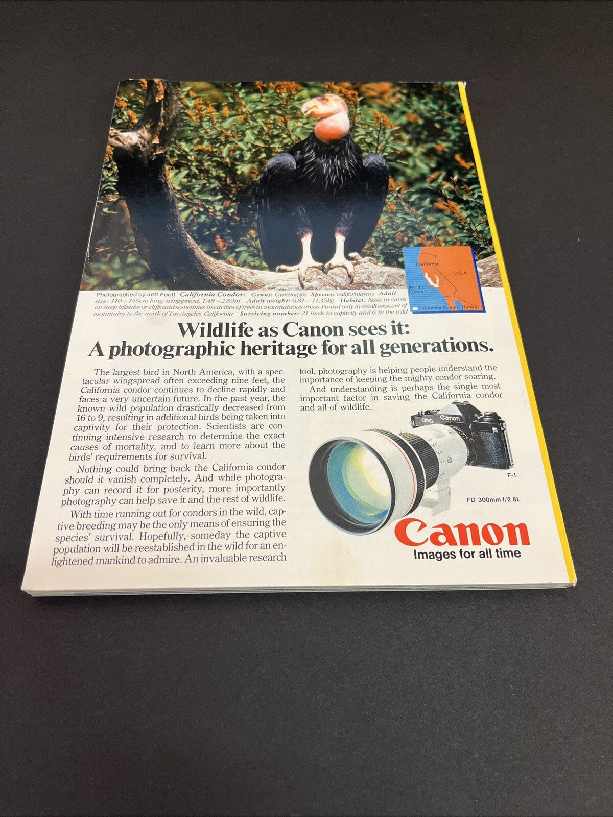 February 1986 Nat. Geographic Dilemma of Independence for South Africa's Ndebele