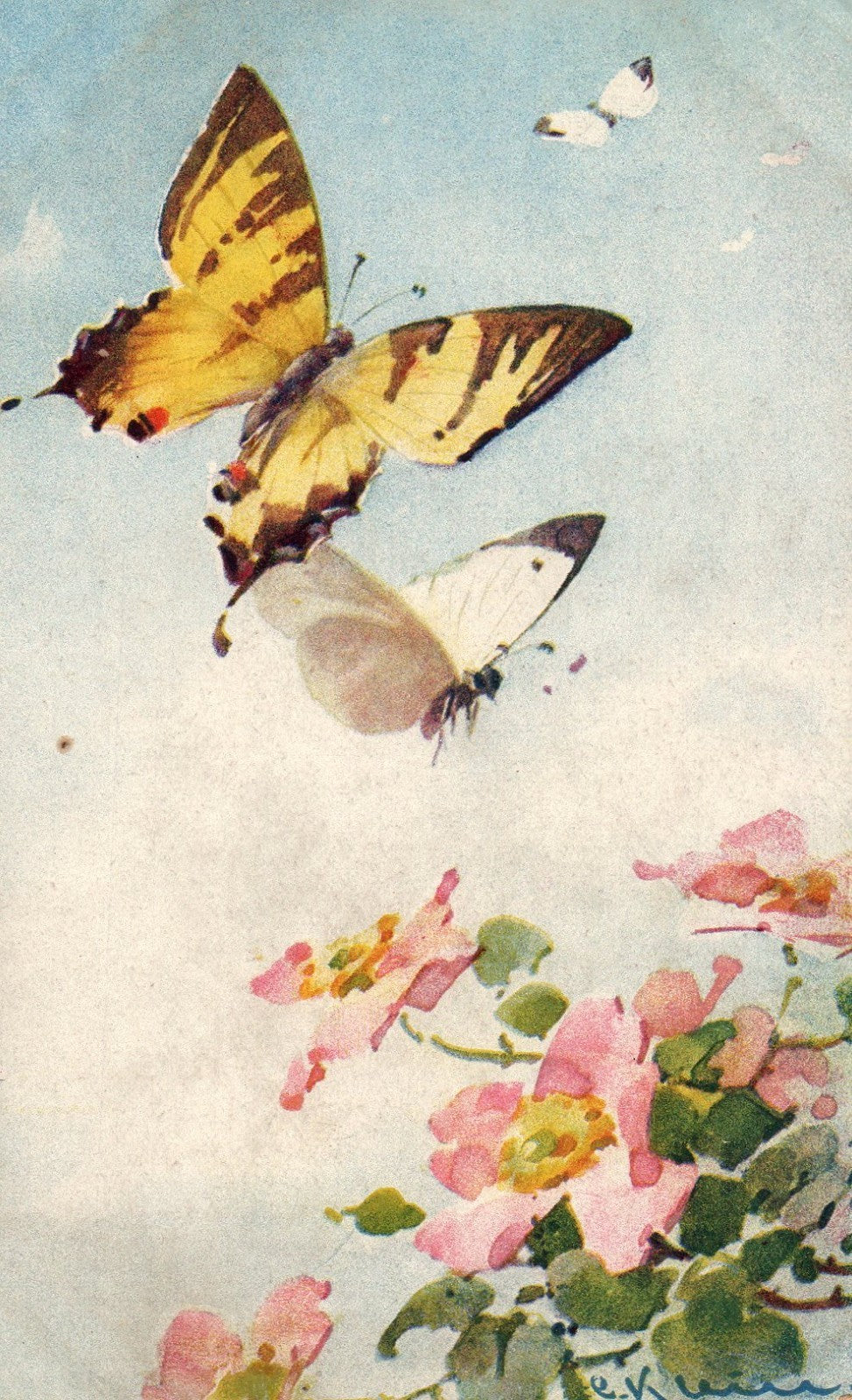 Artist Signed Catherine Klein Butterflys Pink Flowers Switzerland Series 1134