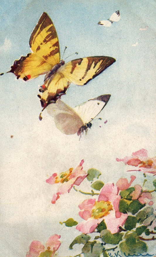 Artist Signed Catherine Klein Butterflys Pink Flowers Switzerland Series 1134