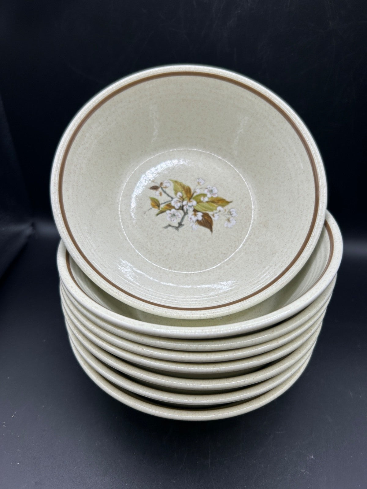 Royal Doulton WILD CHERRY 8 Salad Bowls Made in England Lambethware 1979