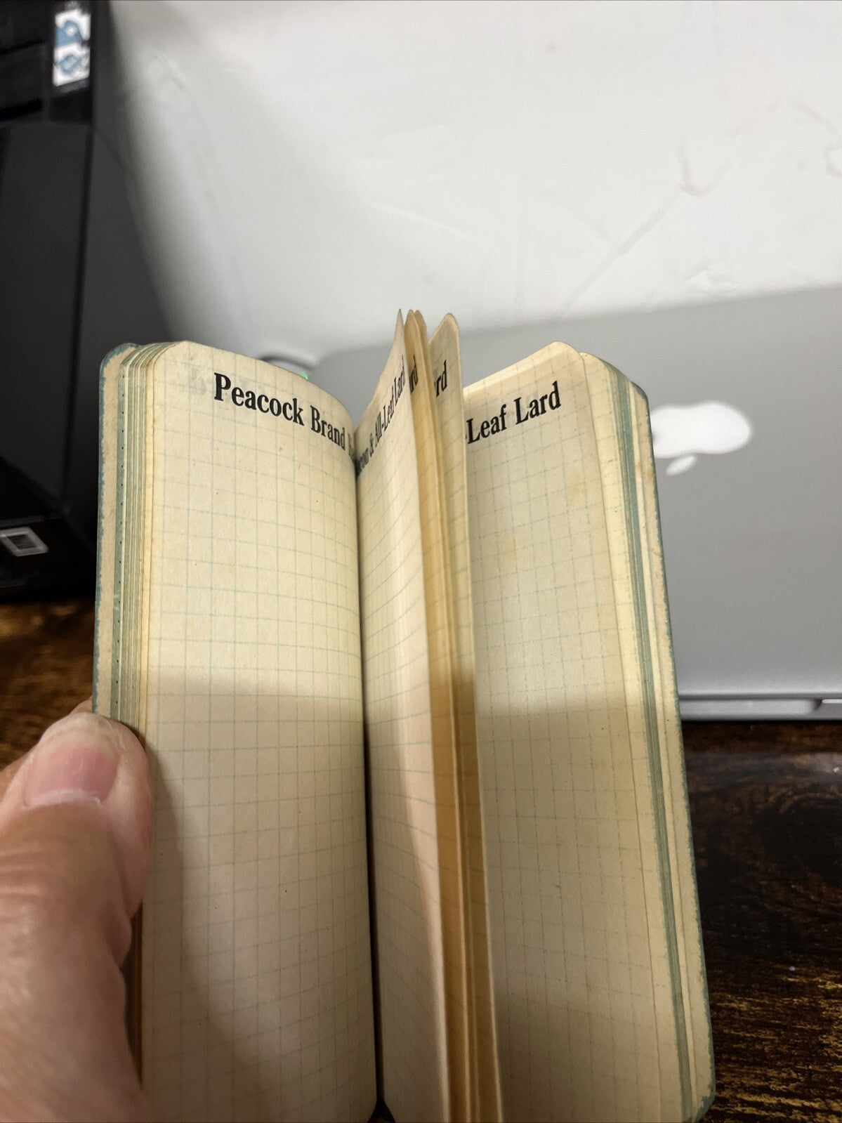 1920 Peacock Booklet Tablet