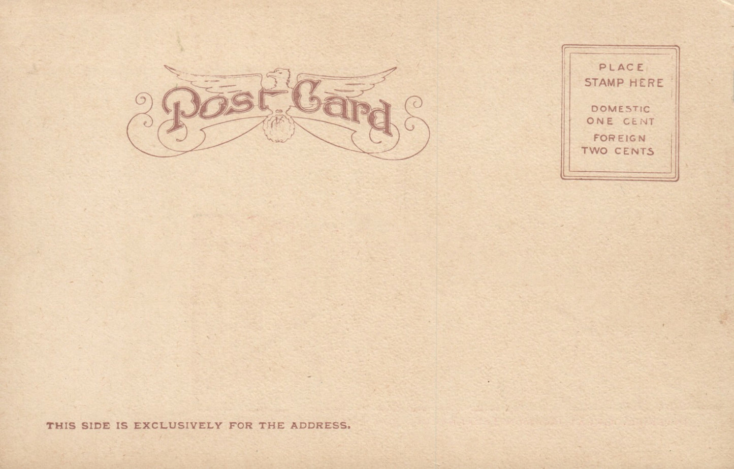 Interior Great Mormon Tabernacle Salt Lake City  UT Utah Postcard