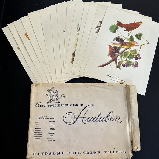 Vintage AUDUBON 18 Best Loved Bird Paintings Full Color Prints -3 prints missing