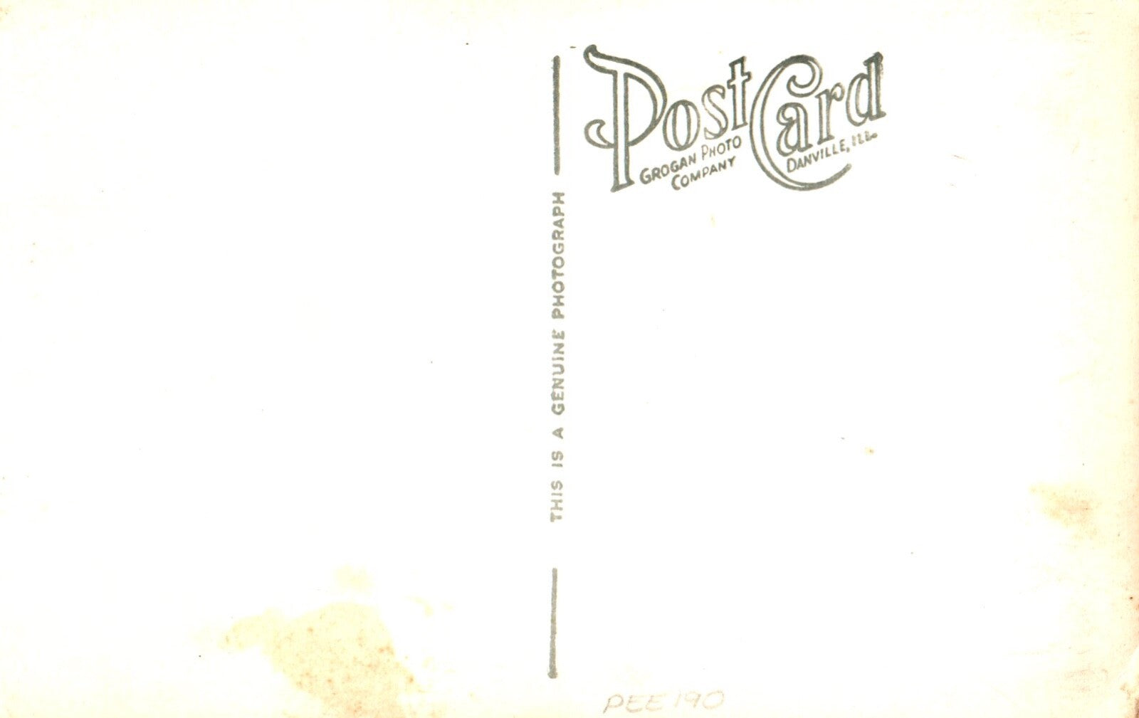 Giant Panda Most Valuable Captive Animal Chicago Zoo Panda Bear Animal Postcard