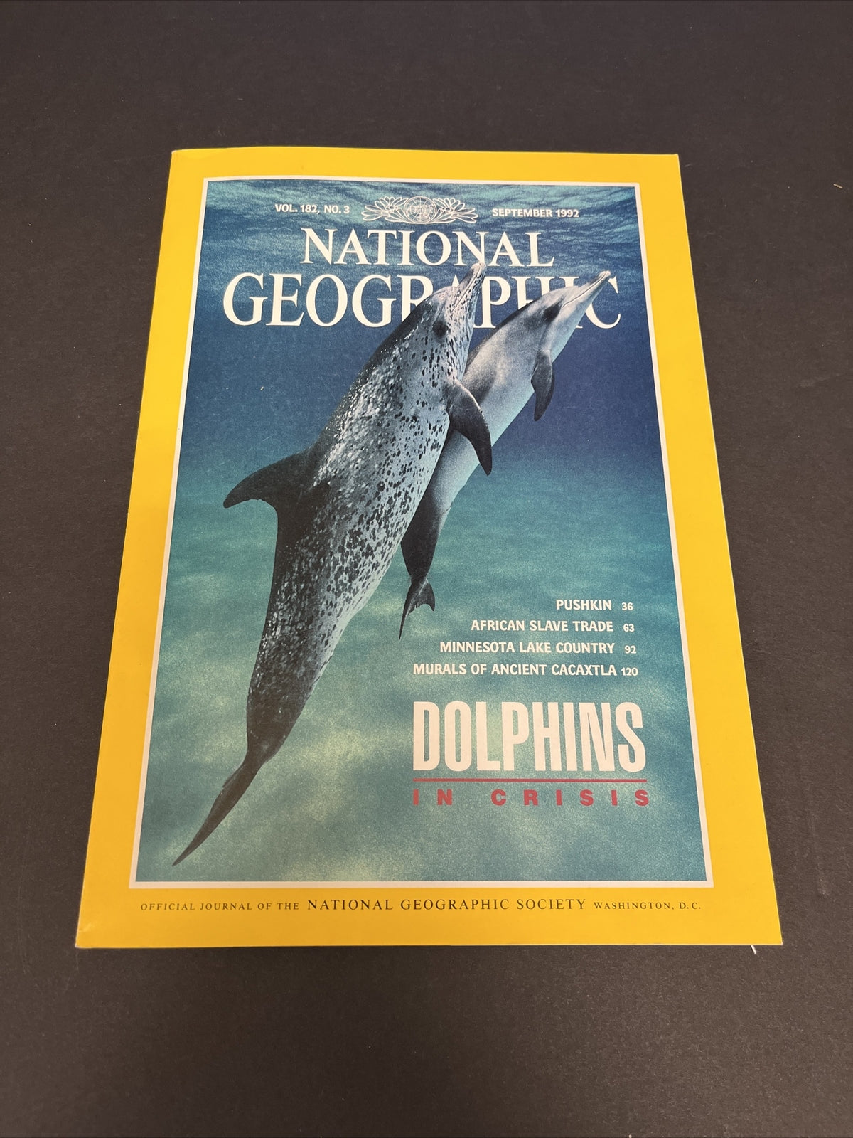 September 1992 National Geographic Magazine "Dolphins in Crisis"