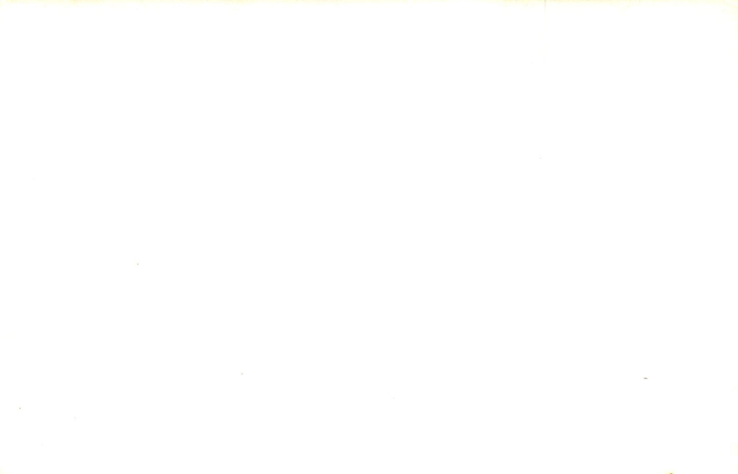 RPPC Reids Cabins Indina River MI Mich Michigan Postcard