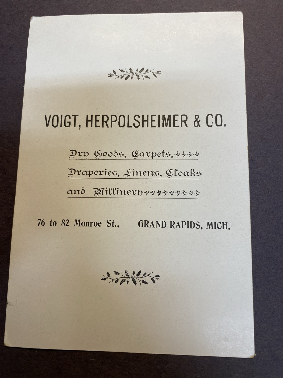 Herpolsheimer's Grand Rapids Michigan MI Advertising Victorian Trade Card Family