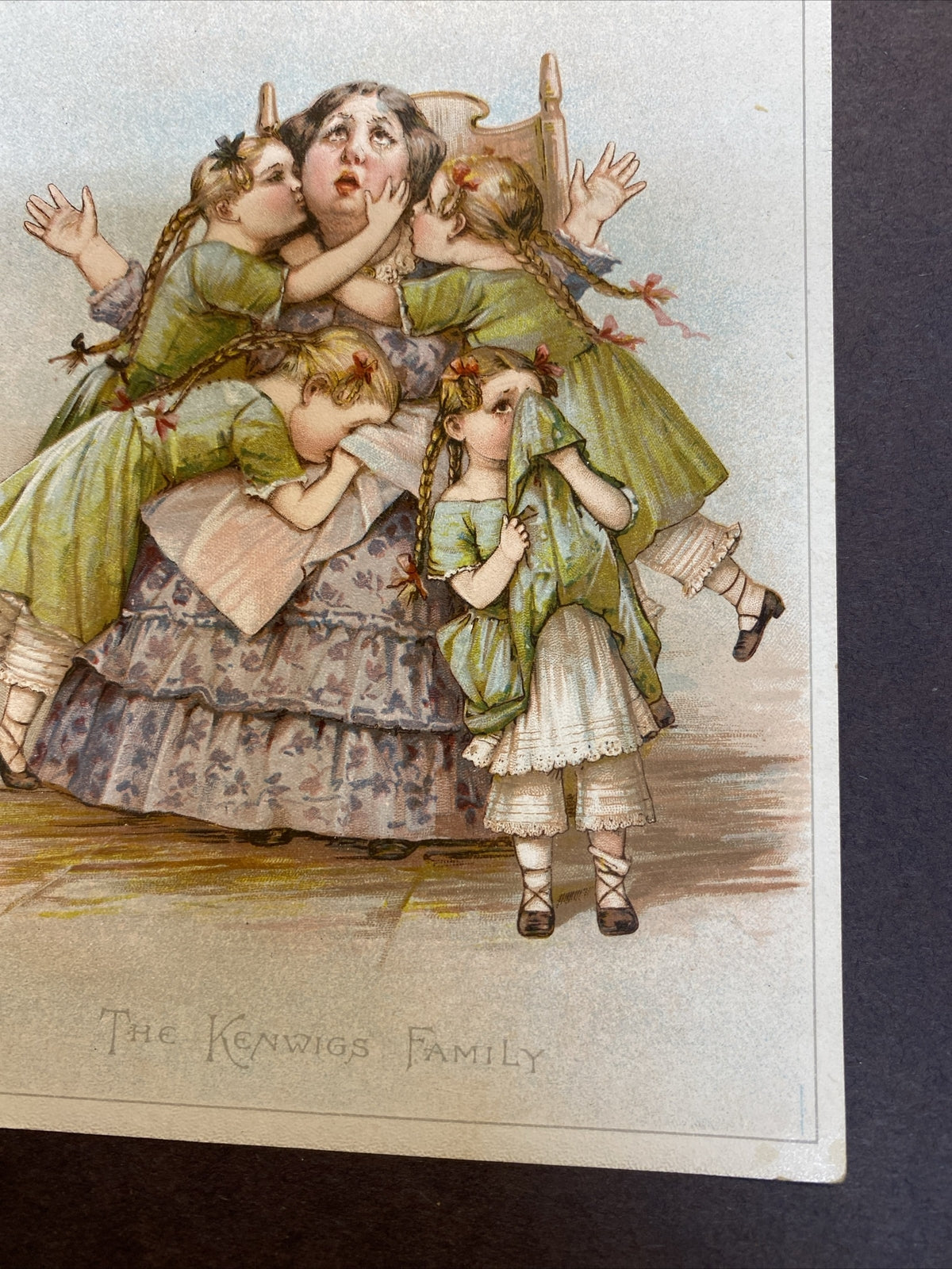 Herpolsheimer's Grand Rapids Michigan MI Advertising Victorian Trade Card Kenwig