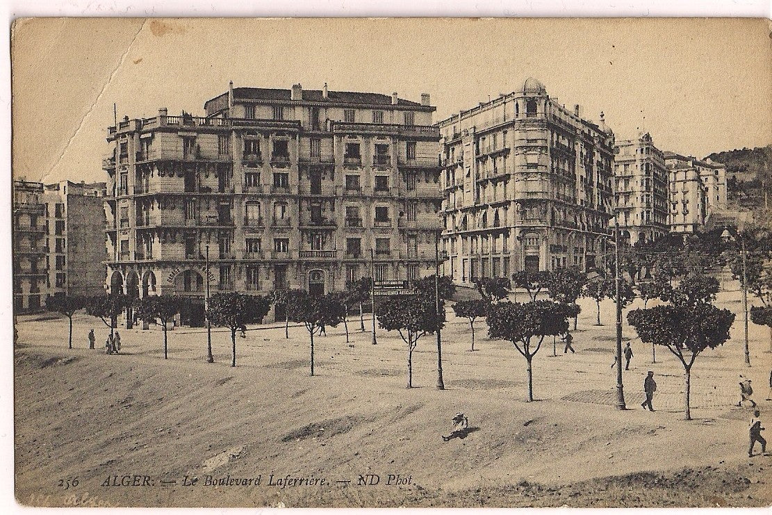 Alger Le Boulevard Laferriere Algeria Postcard