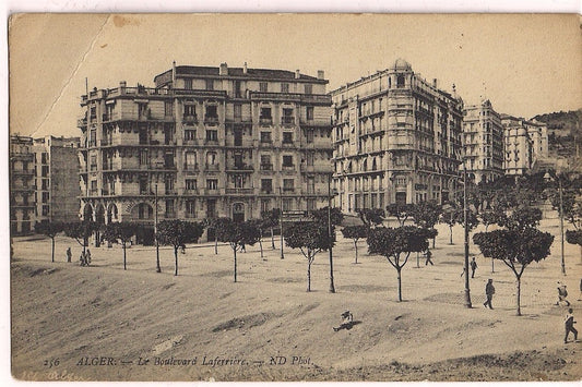 Alger Le Boulevard Laferriere Algeria Postcard