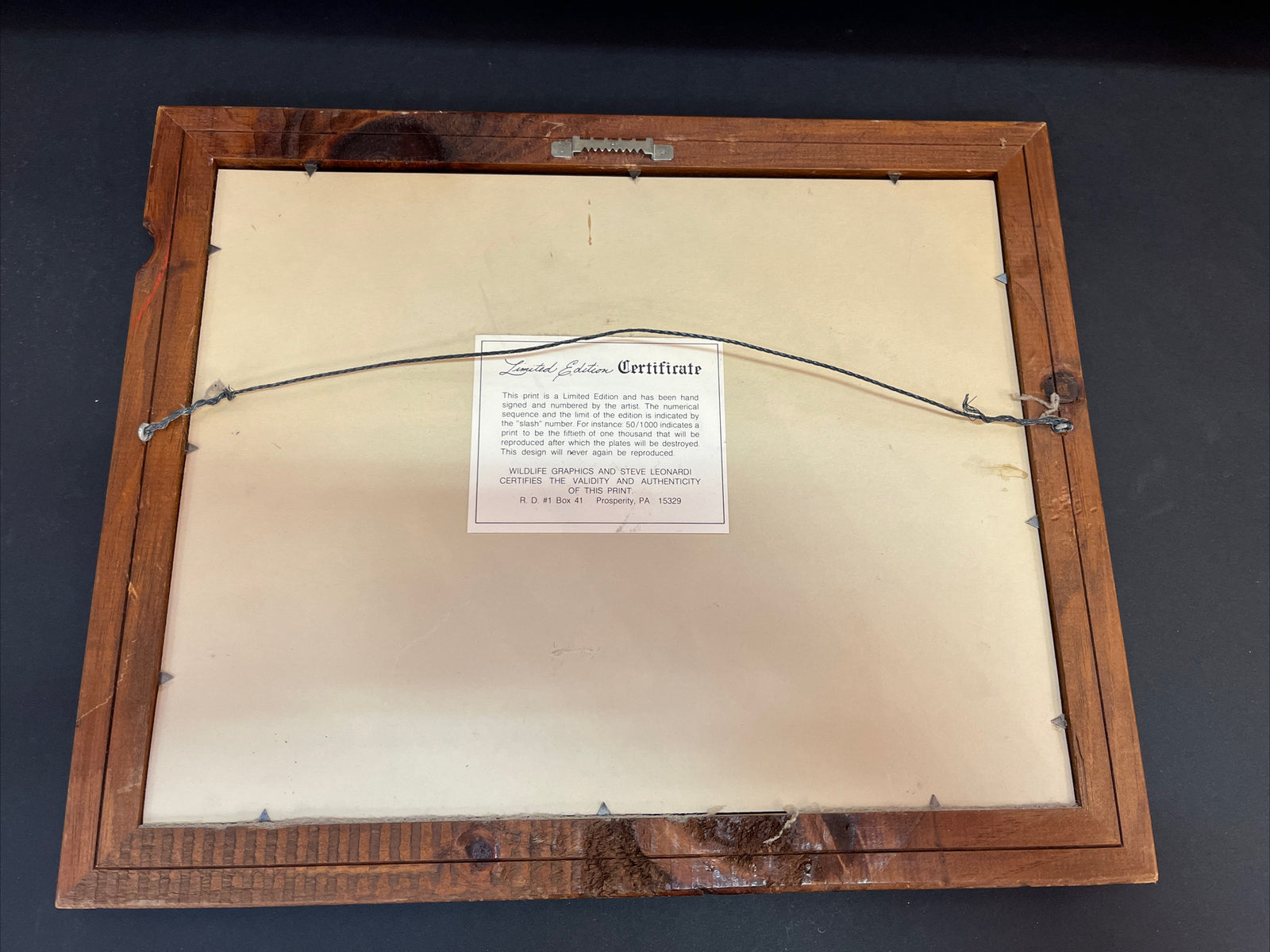 Framed Steve Leonardi Wildlife Graphics ~Robin~ Signed & # Limited Edition Print