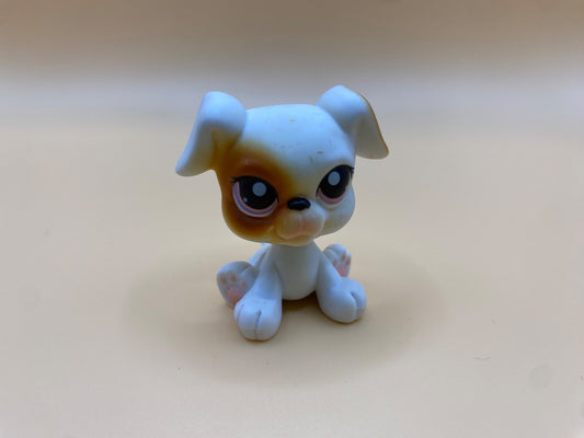 Littlest Pet Shop #84 Boxer Puppy Sitting Dog Authentic LPS Animal Figure
