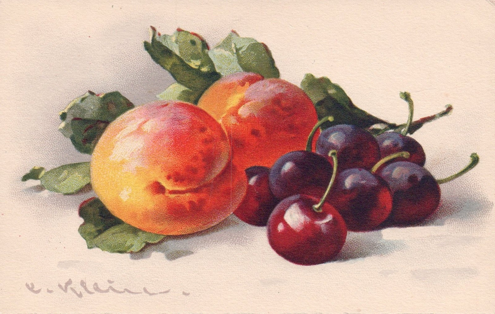 Artist Signed Catherine Klein Peaches Cherries