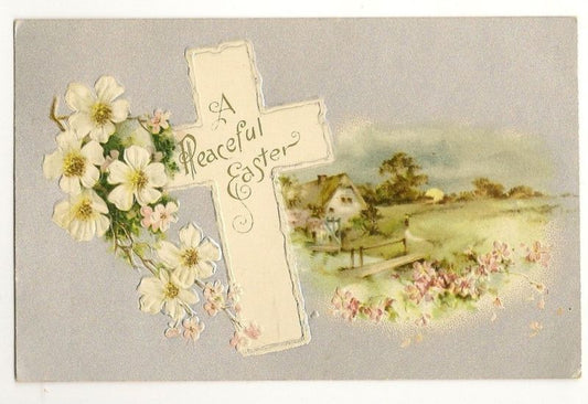 Nash  Easter Scenic Valley Postcard flowers