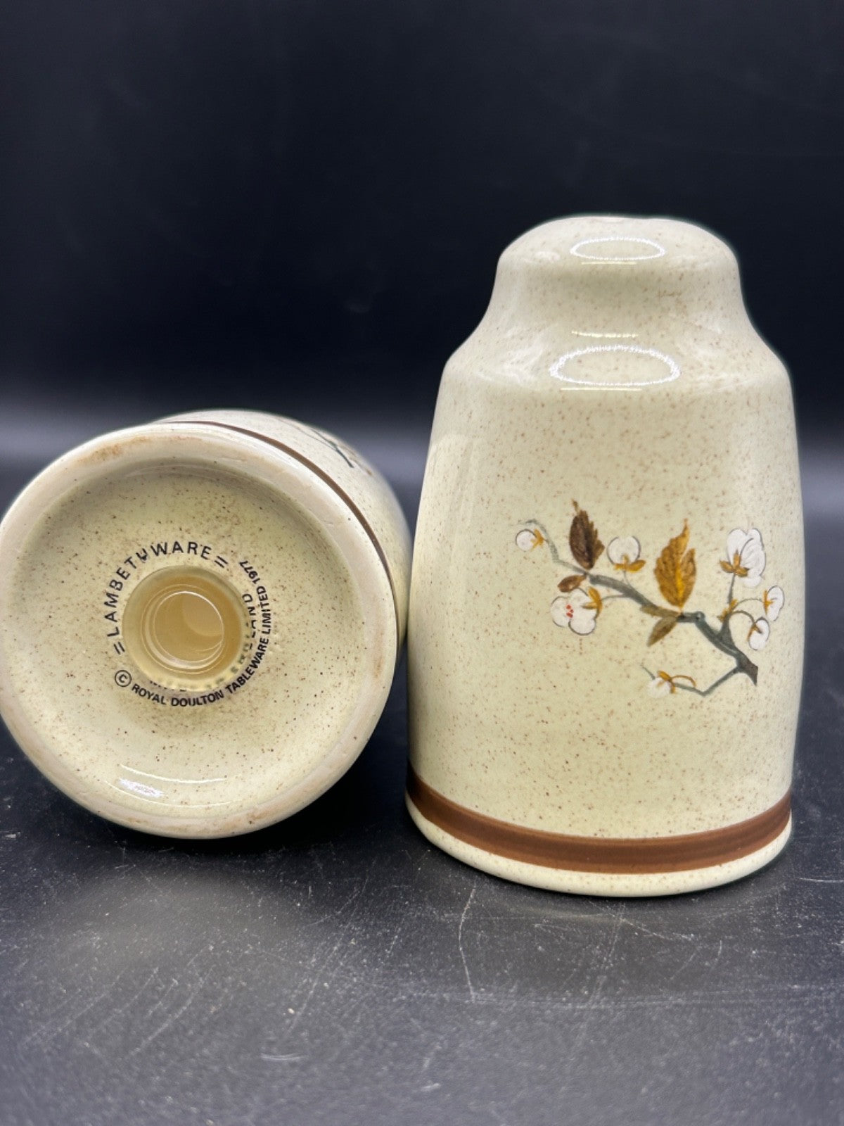 Royal Doulton WILD CHERRY Salt & Pepper Shakers Made in England Lambethware 1979