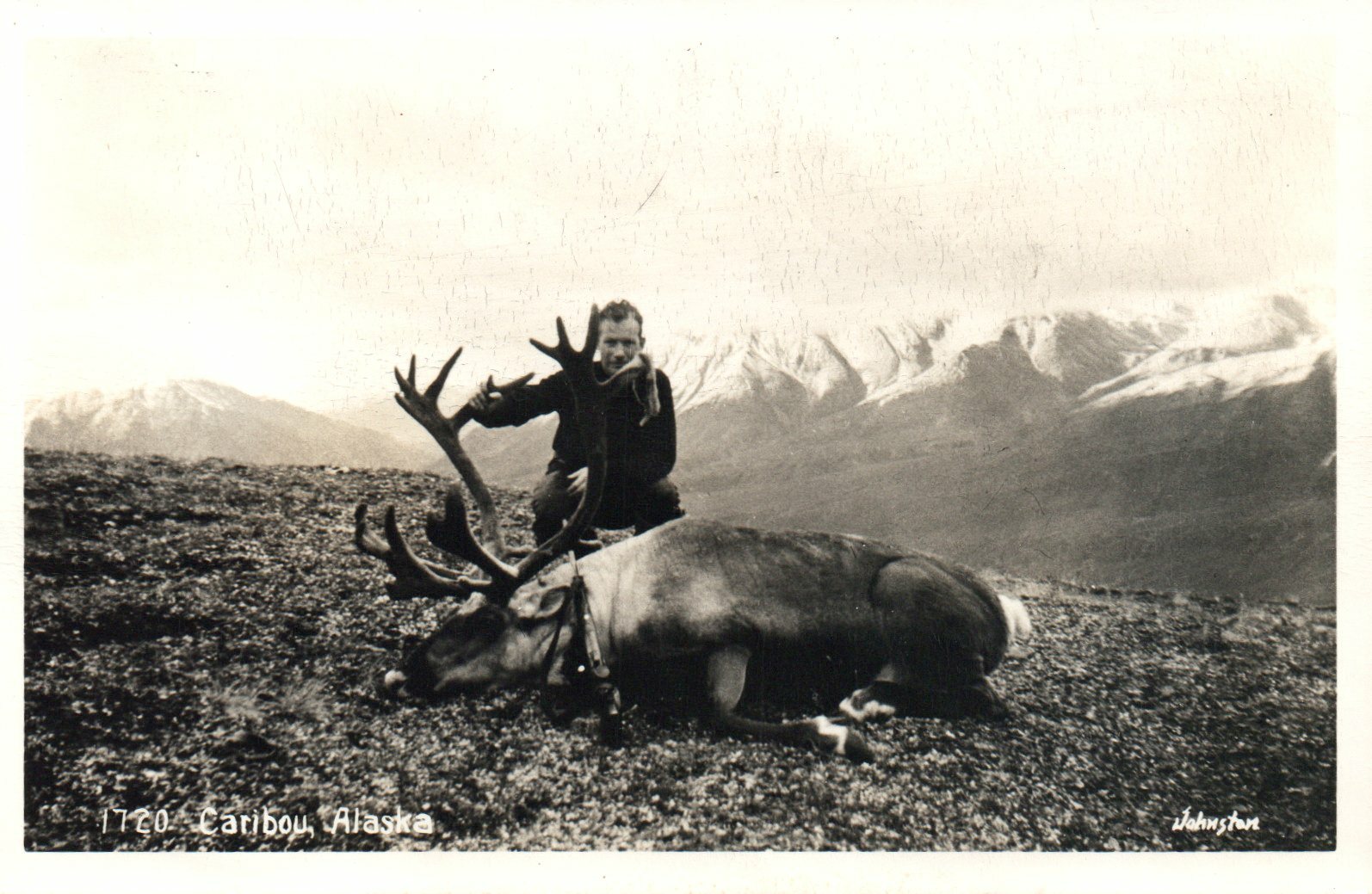 Real Photo Game Hunter Caribu Alaska AK Johnston Postcard Hunting Hunt