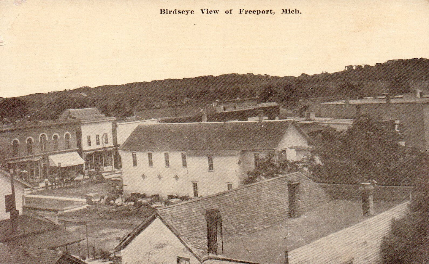 Bird's Eye View of Freeport Michigan MI Postcard
