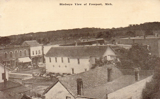 Bird's Eye View of Freeport Michigan MI Postcard
