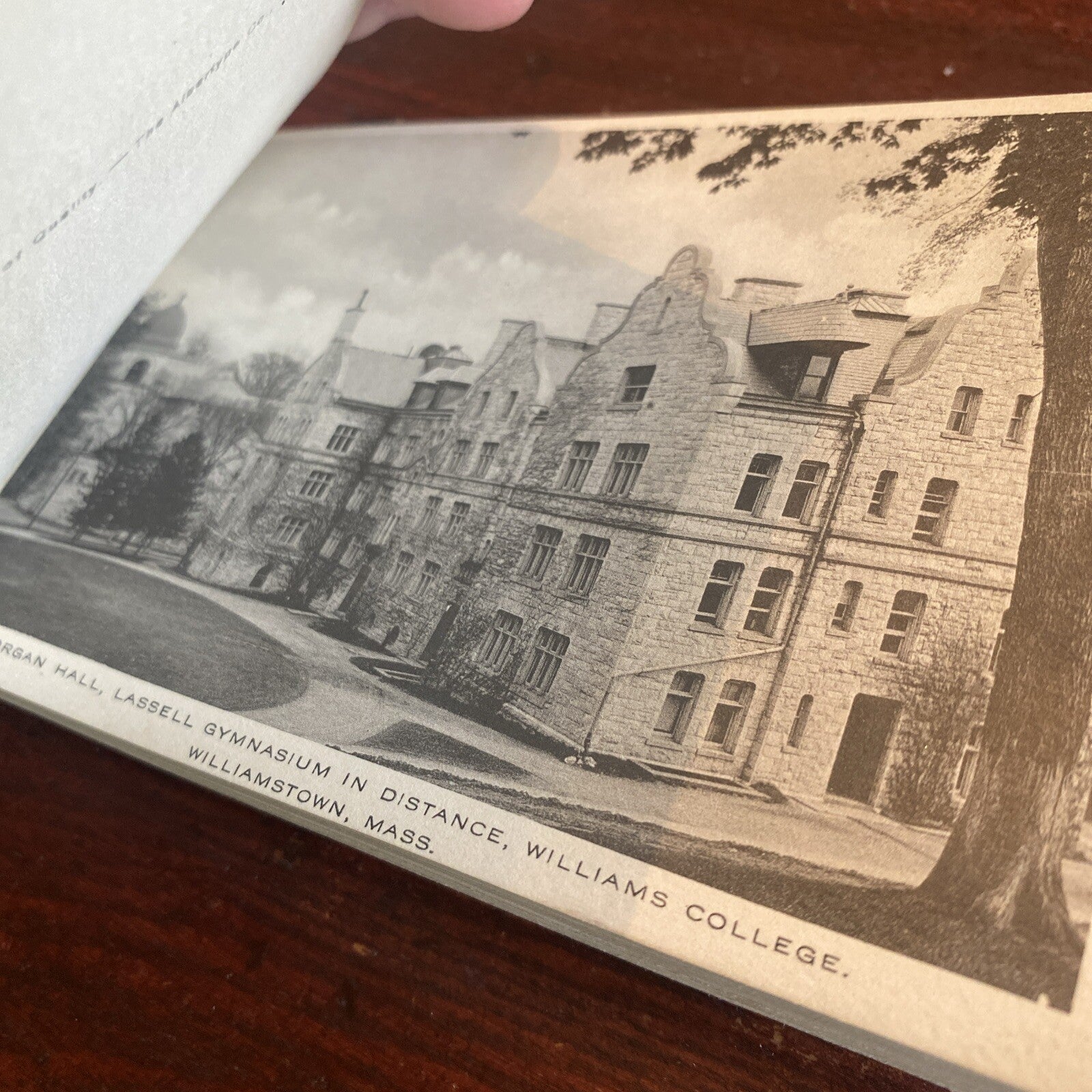 Glimpses of Williamstown & Williams College Massachusetts MA  Postcard