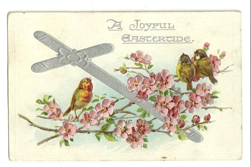 Tuck Bird Sitting On Branch Pink Flower Easter Postcard