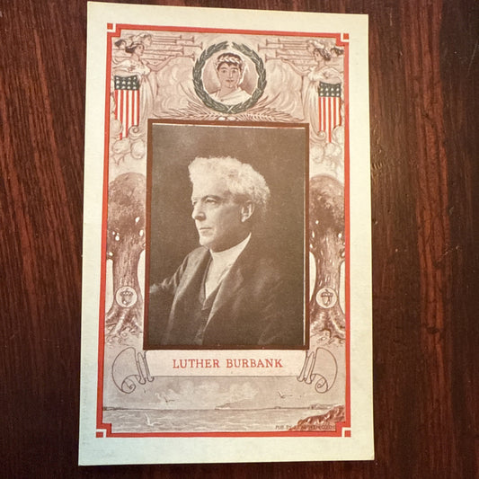 Luther Burbank by J I Austen Postcard Angels Trumpets c1910's *Scarce