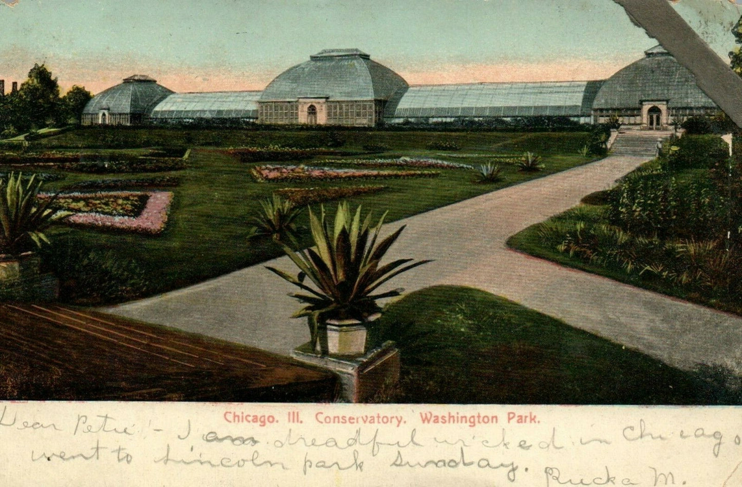 Conservatory Washington Park  Chicago Illinois IL Postcard