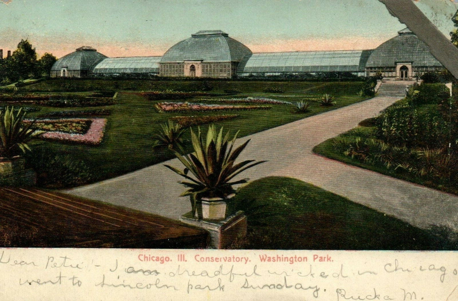 Conservatory Washington Park  Chicago Illinois IL Postcard