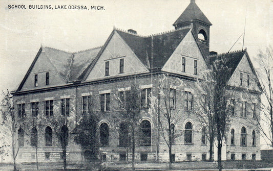 School Building in Lake Odessa MI Mich Michigan Postcard