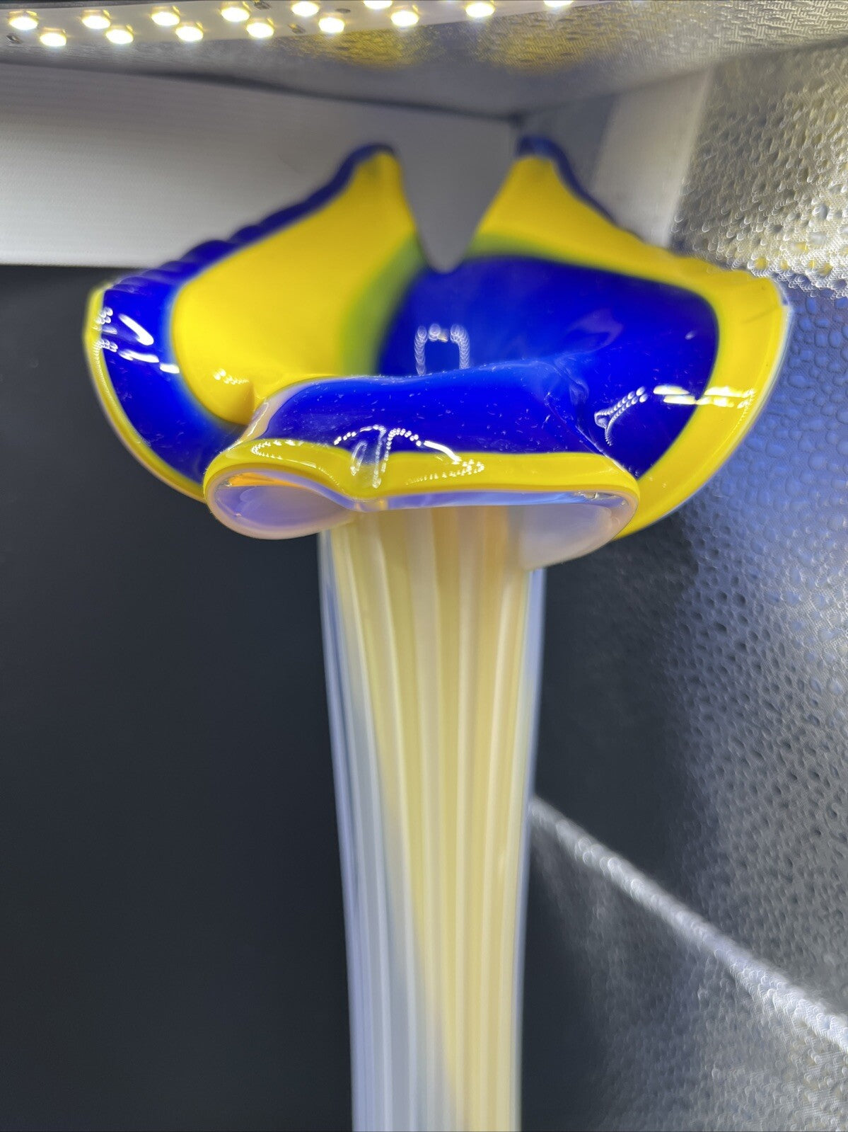 Vase Hand Blown Blue Cobalt Art Glass Jack in the Pulpit  Ribbed Tulip