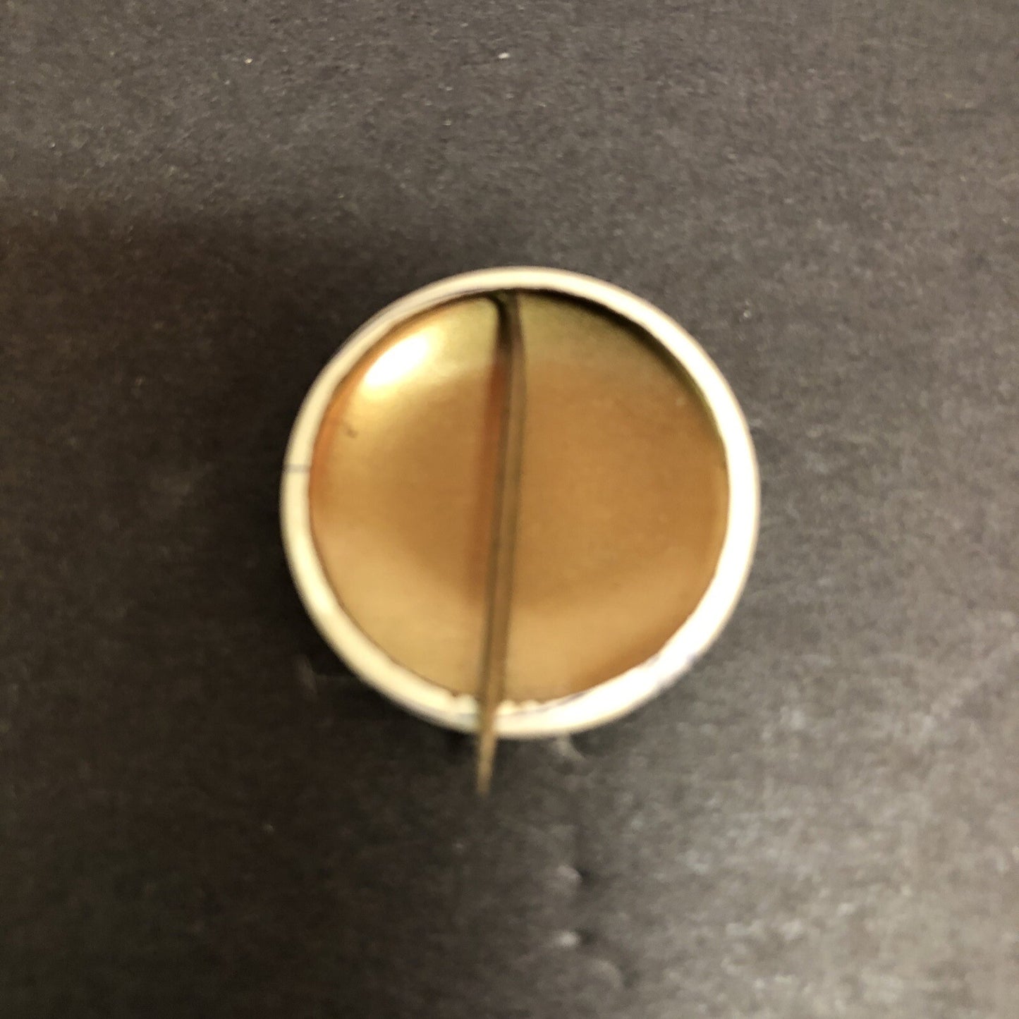 Stevenson Litho 1" Political Pin