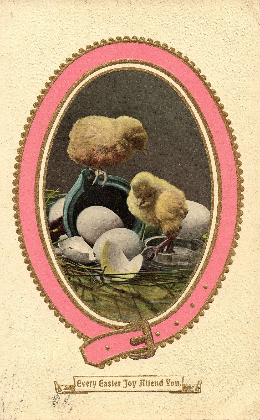 Chick Hatching Blue Pot Pink Buckle Easter Chick Postcard