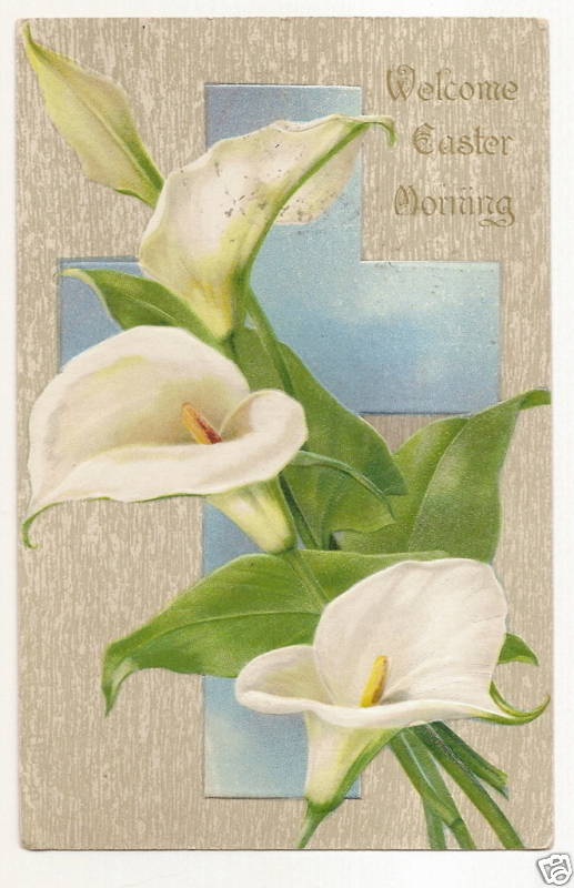 John Winsch Lily Easter Postcard