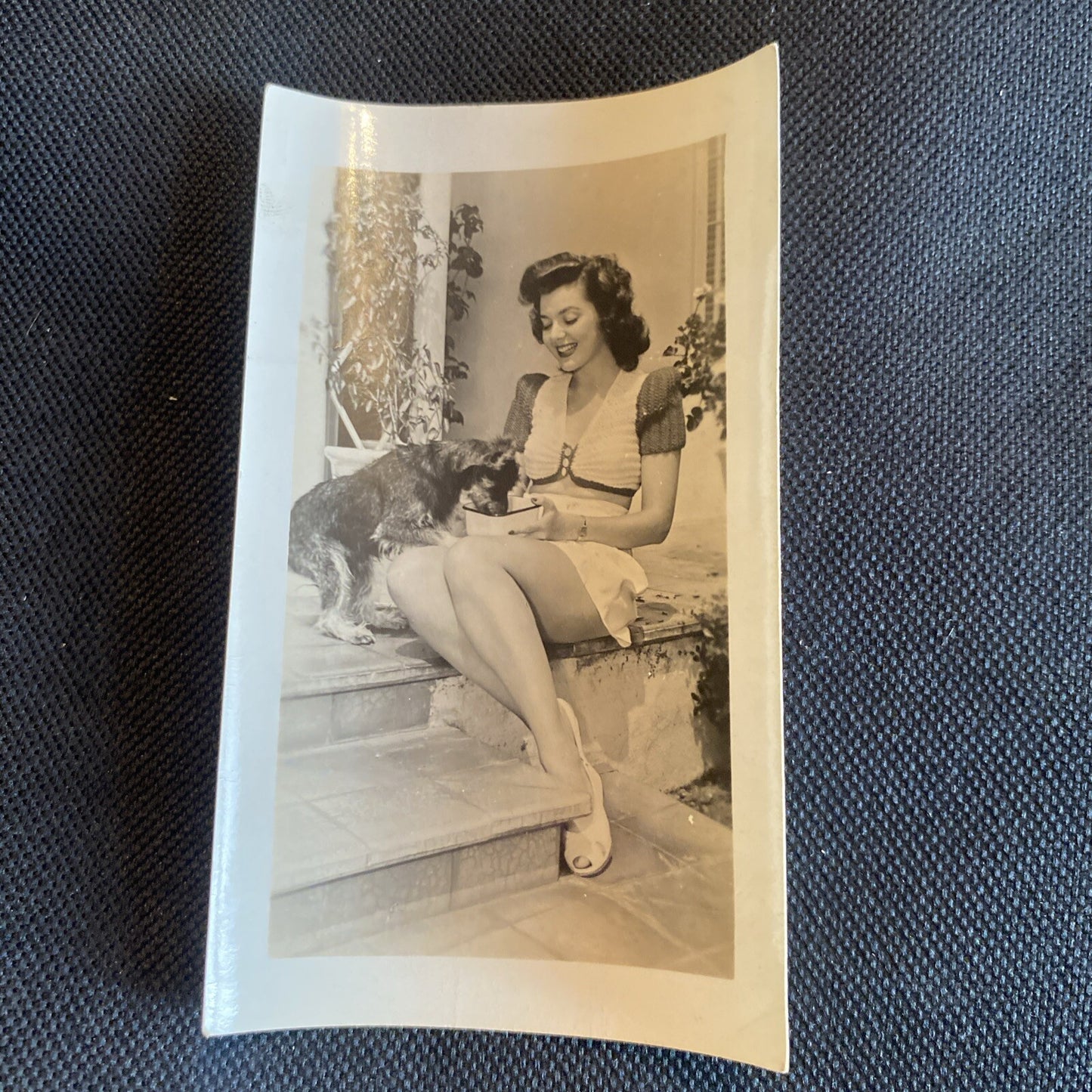Real Photo  Ann Rutherford With Dog  2.5" x 4" Hollywood Movie Star Fan Club