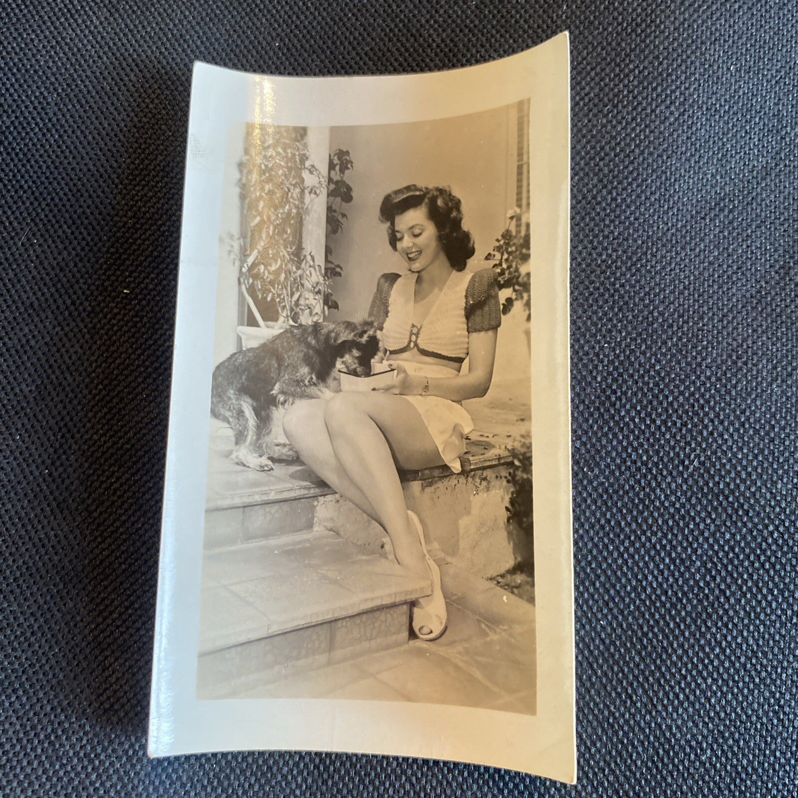 Real Photo  Ann Rutherford With Dog  2.5" x 4" Hollywood Movie Star Fan Club
