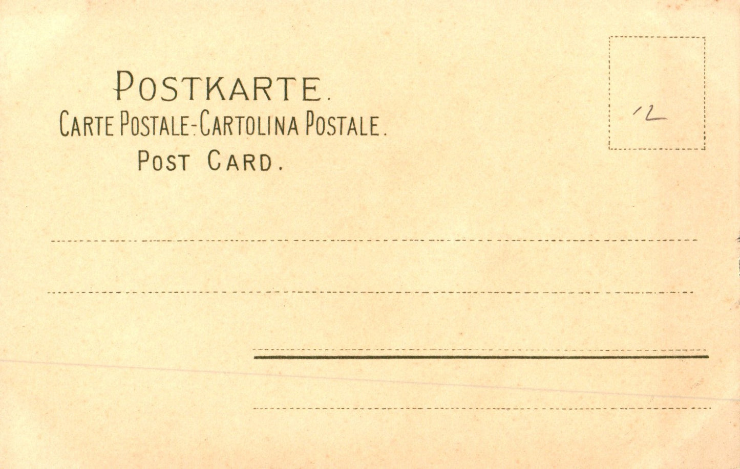 Early Pre 1907 Artist Signed Catherine Klein Flowers postcard