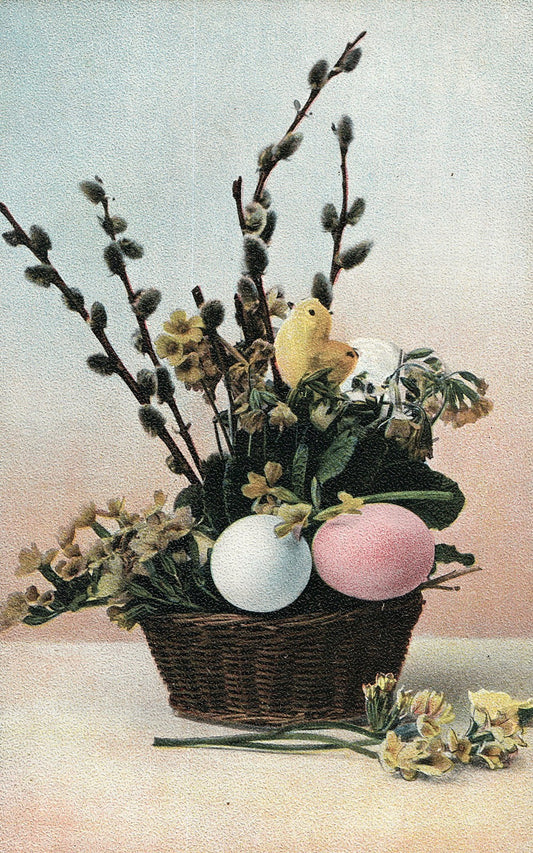 Basket Pink Blue Eggs Pussy Willow Easter Chick Postcard