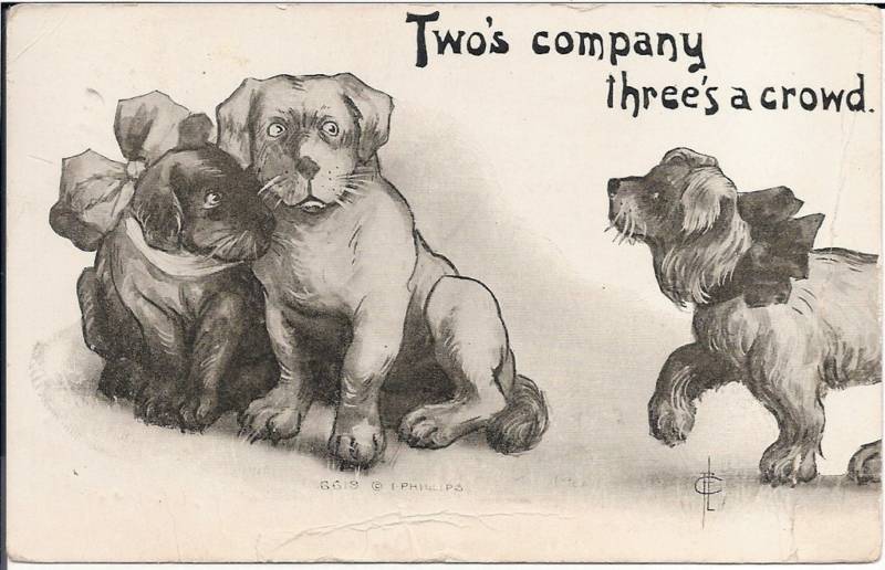 Artist Signed I Phillips 6619 "Two's Company Three's a Crowd" Dog Dogs Postcard