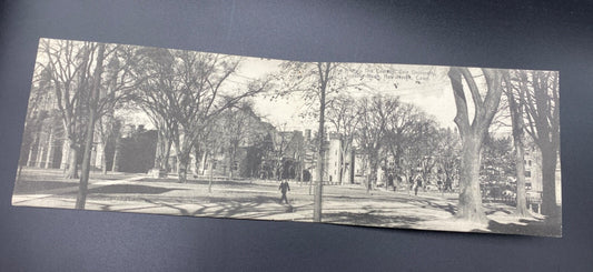 Rare PANORAMIC - 2 card The Campus Yale University New Haven Connecticut CT