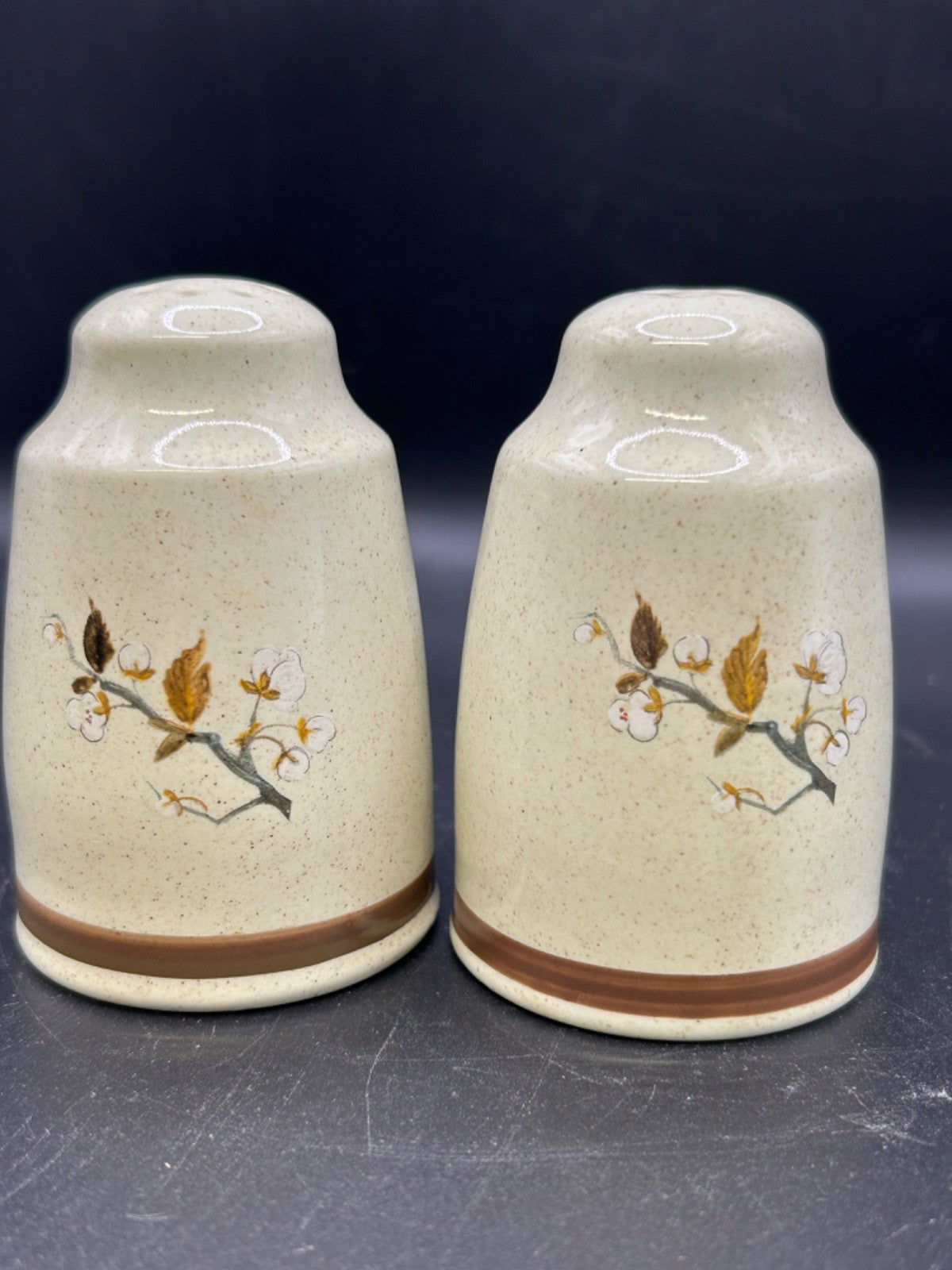 Royal Doulton WILD CHERRY Salt & Pepper Shakers Made in England Lambethware 1979