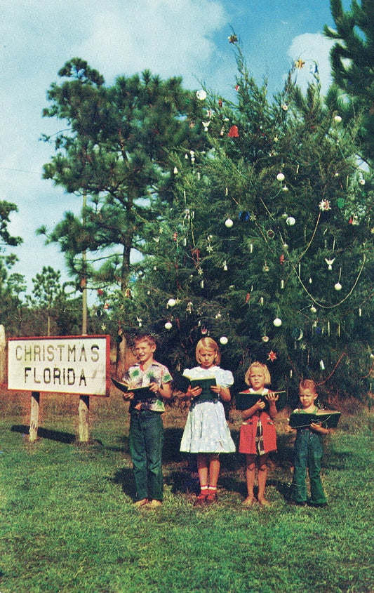 1950's Children in Front of Christmas Tree in Christmas Florida Postcard