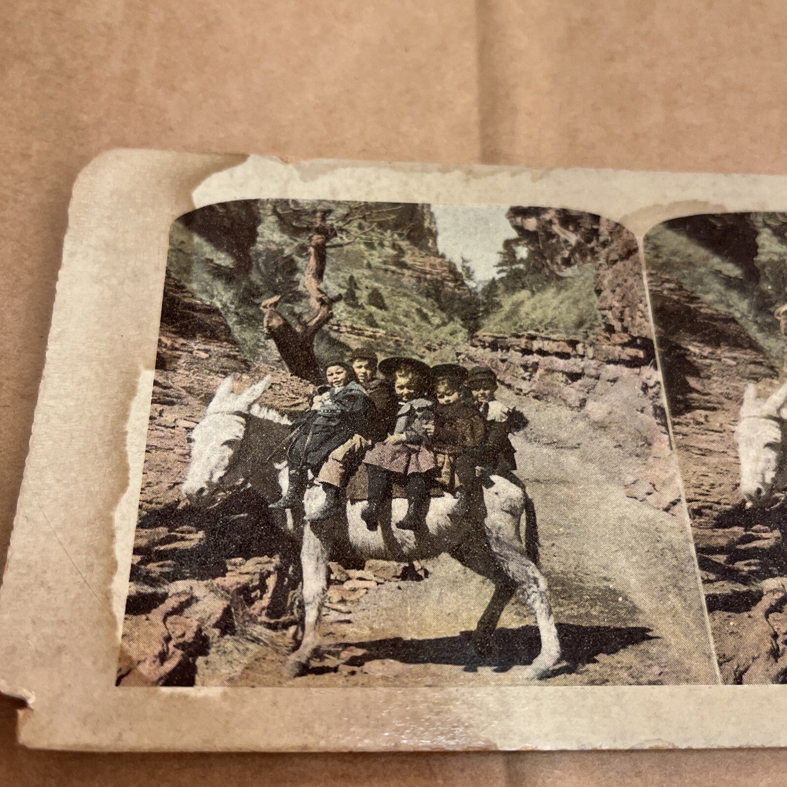 A FULL LOAD KIDS & DONKEY, POLYCHROME STEREOVIEW Color Card