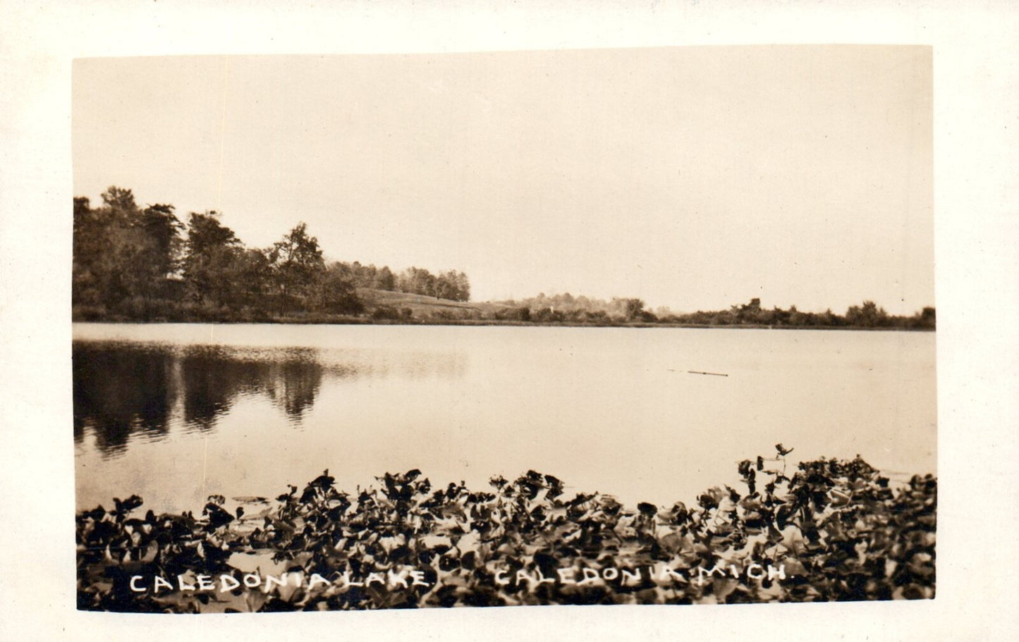 Real Photo Caledonia Lake in Caledonia Mich Mi Michigan Postcard