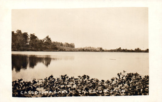 Real Photo Caledonia Lake in Caledonia Mich Mi Michigan Postcard